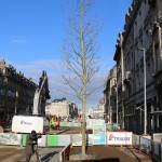 2020.01.20 plantation premiers arbres (2)