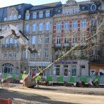 2020.01.20 plantation premiers arbres (5)