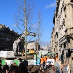 2020.01.20 plantation premiers arbres (8)