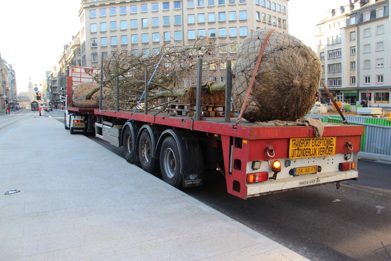 2021.03.01 plantation premiers arbres place de paris (1)