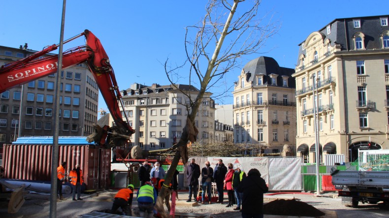 2021.03.01 plantation premiers arbres place de paris (2)