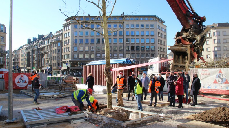 2021.03.01 plantation premiers arbres place de paris (3)